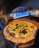 Pizza Ovens R Us Alfa Brio Hybrid Gas /Wood Fired Pizza Oven