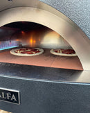 Pizza Ovens R Us Alfa Brio Hybrid Gas /Wood Fired Pizza Oven
