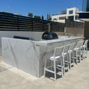 Pizza Ovens R Us Alfa Brio Hybrid Gas /Wood Fired Pizza Oven