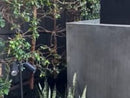 Subito Cotto 60 Refractory Hybrid Gas/Wood Fired Pizza Oven