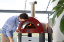 Pizza Ovens R Us Alfa Brio Hybrid Gas /Wood Fired Pizza Oven