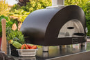 Pizza Ovens R Us Alfa Nano Gas Pizza Oven 