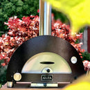Pizza Ovens R Us Alfa Nano Gas Pizza Oven